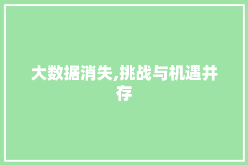 大数据消失,挑战与机遇并存