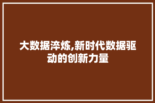 大数据淬炼,新时代数据驱动的创新力量