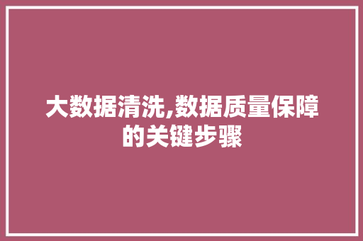 大数据清洗,数据质量保障的关键步骤