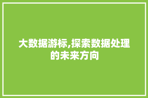大数据游标,探索数据处理的未来方向 Web前端
