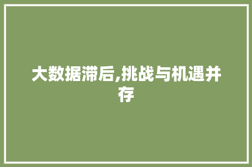 大数据滞后,挑战与机遇并存