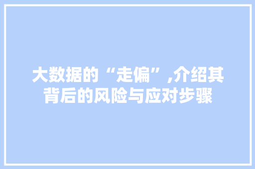 大数据的“走偏”,介绍其背后的风险与应对步骤