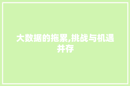 大数据的拖累,挑战与机遇并存