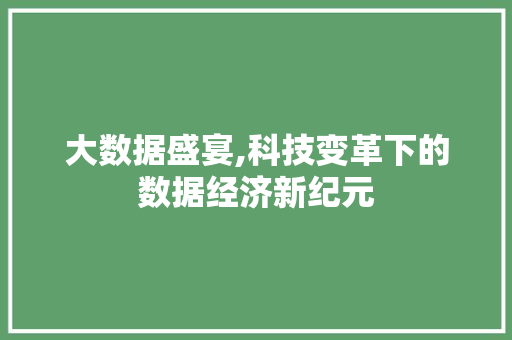 大数据盛宴,科技变革下的数据经济新纪元