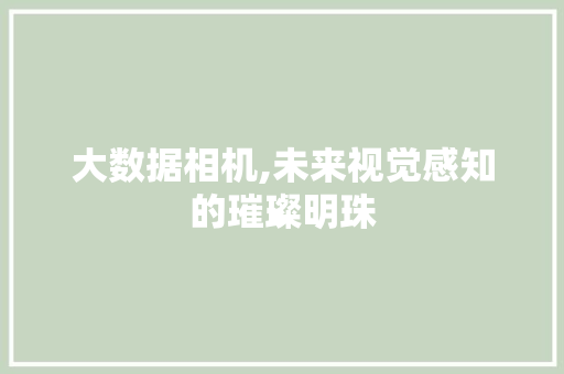 大数据相机,未来视觉感知的璀璨明珠
