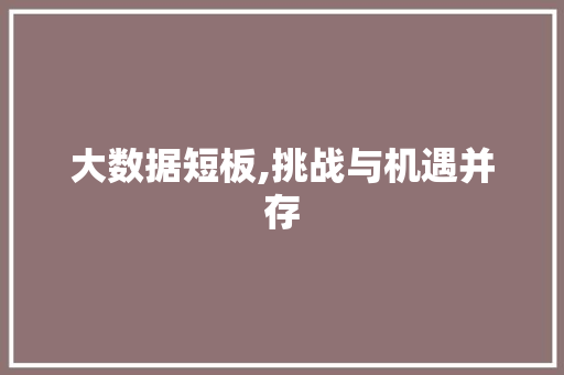 大数据短板,挑战与机遇并存 友链在线