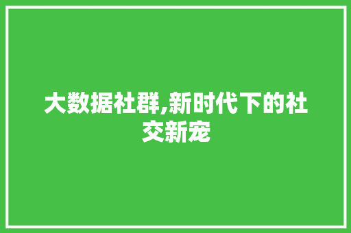 大数据社群,新时代下的社交新宠 友链在线