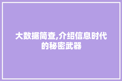 大数据简查,介绍信息时代的秘密武器