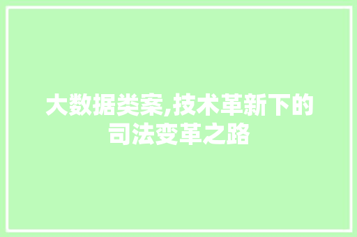 大数据类案,技术革新下的司法变革之路