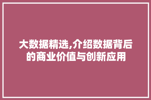大数据精选,介绍数据背后的商业价值与创新应用