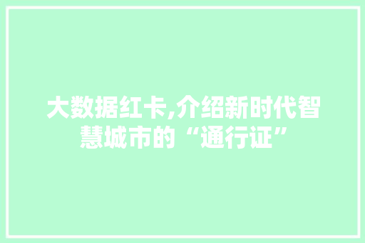 大数据红卡,介绍新时代智慧城市的“通行证”