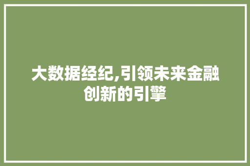 大数据经纪,引领未来金融创新的引擎 SEO教程