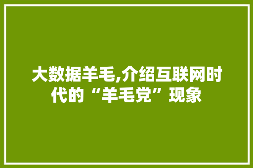 大数据羊毛,介绍互联网时代的“羊毛党”现象