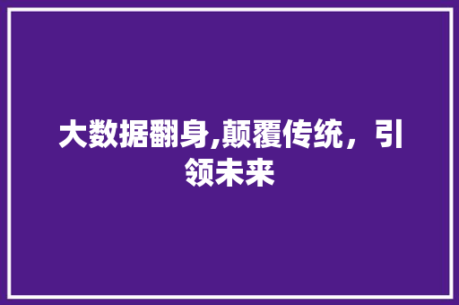 大数据翻身,颠覆传统，引领未来