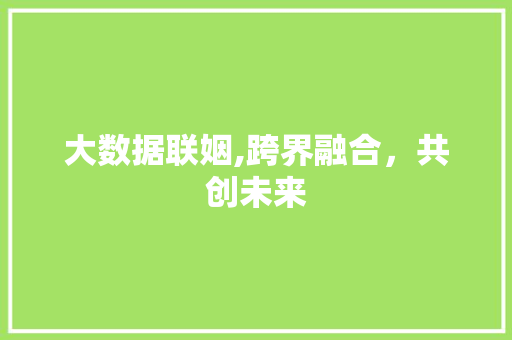大数据联姻,跨界融合，共创未来