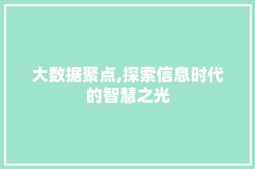 大数据聚点,探索信息时代的智慧之光 SEO教程