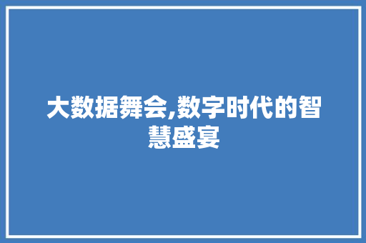 大数据舞会,数字时代的智慧盛宴
