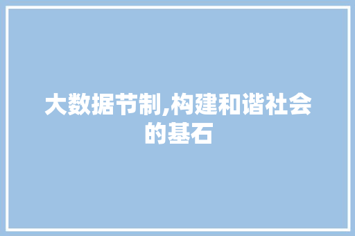 大数据节制,构建和谐社会的基石