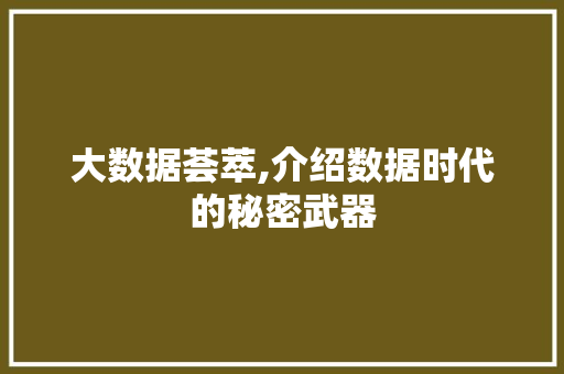 大数据荟萃,介绍数据时代的秘密武器