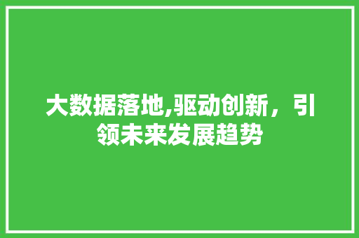 大数据落地,驱动创新，引领未来发展趋势