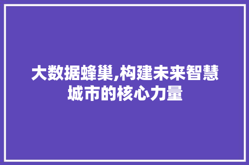 大数据蜂巢,构建未来智慧城市的核心力量 SEO教程