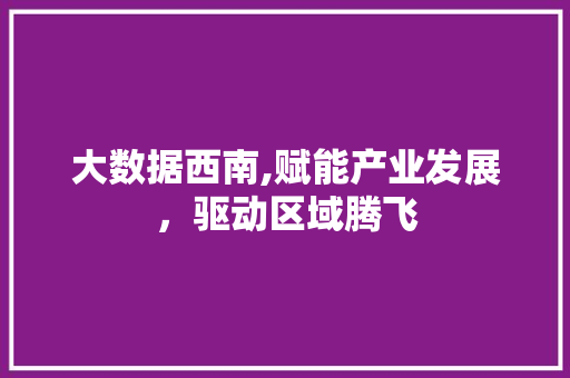 大数据西南,赋能产业发展，驱动区域腾飞