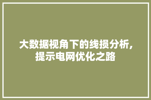 大数据视角下的线损分析,提示电网优化之路