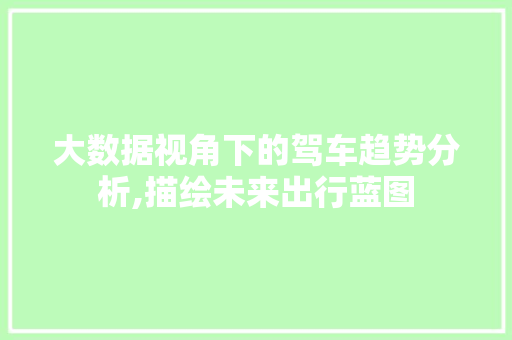 大数据视角下的驾车趋势分析,描绘未来出行蓝图