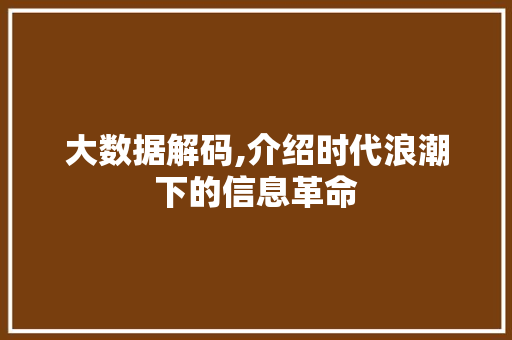 大数据解码,介绍时代浪潮下的信息革命