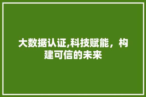 大数据认证,科技赋能，构建可信的未来