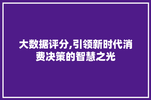 大数据评分,引领新时代消费决策的智慧之光