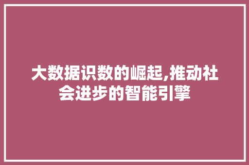大数据识数的崛起,推动社会进步的智能引擎