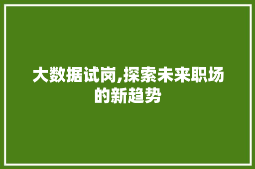 大数据试岗,探索未来职场的新趋势