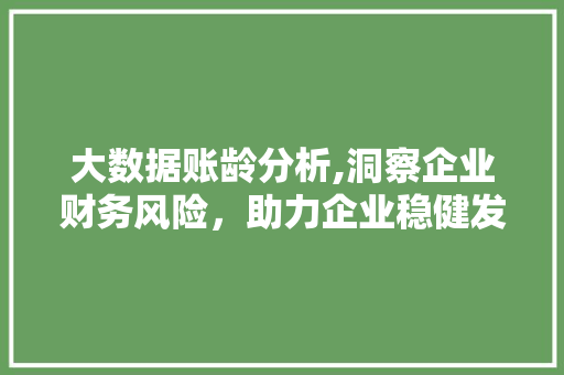 大数据账龄分析,洞察企业财务风险，助力企业稳健发展