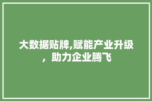 大数据贴牌,赋能产业升级，助力企业腾飞