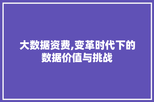 大数据资费,变革时代下的数据价值与挑战