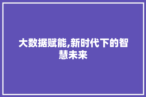 大数据赋能,新时代下的智慧未来