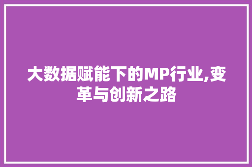 大数据赋能下的MP行业,变革与创新之路