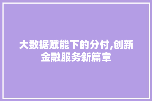 大数据赋能下的分付,创新金融服务新篇章