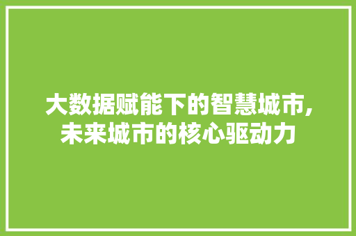 大数据赋能下的智慧城市,未来城市的核心驱动力