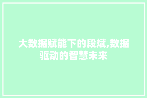 大数据赋能下的段斌,数据驱动的智慧未来