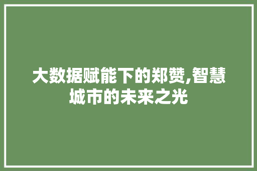 大数据赋能下的郑赞,智慧城市的未来之光