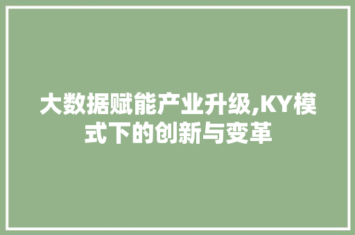 大数据赋能产业升级,KY模式下的创新与变革 友链在线