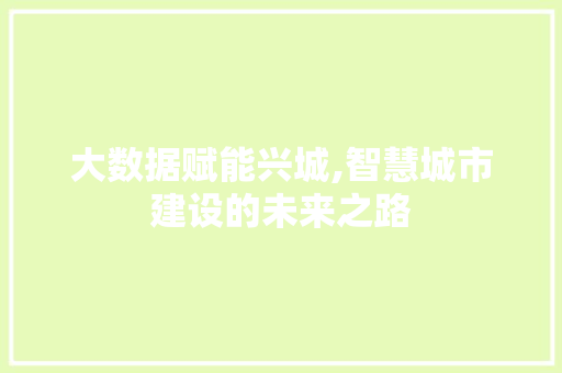 大数据赋能兴城,智慧城市建设的未来之路