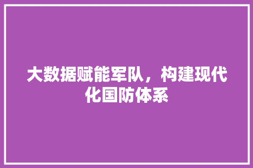 大数据赋能军队，构建现代化国防体系