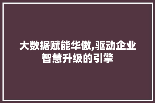 大数据赋能华傲,驱动企业智慧升级的引擎
