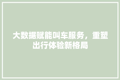 大数据赋能叫车服务，重塑出行体验新格局