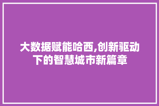 大数据赋能哈西,创新驱动下的智慧城市新篇章 WordPress教程