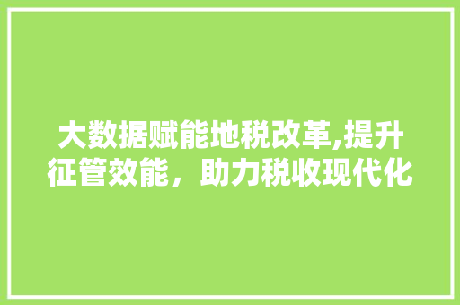 大数据赋能地税改革,提升征管效能，助力税收现代化