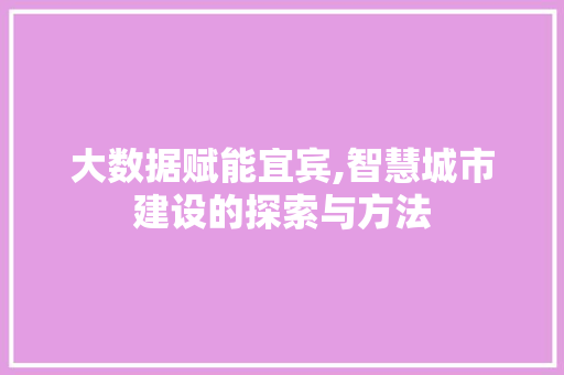 大数据赋能宜宾,智慧城市建设的探索与方法